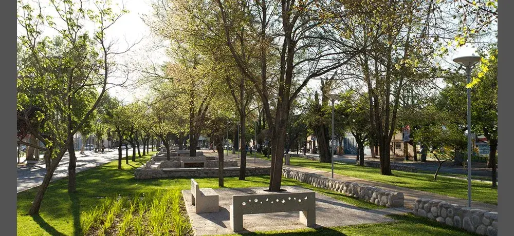 Parque con árboles y bancas en San Bernardo